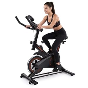 Indoor Exercise Bike Friction Resistance Spin Bike for Home Gym, Belt Drive Stationary Cycle with LCD Monitor, Adjustable Seat & Handlebars, Heavy Duty Steel Frame Cardio Fitness Bike
