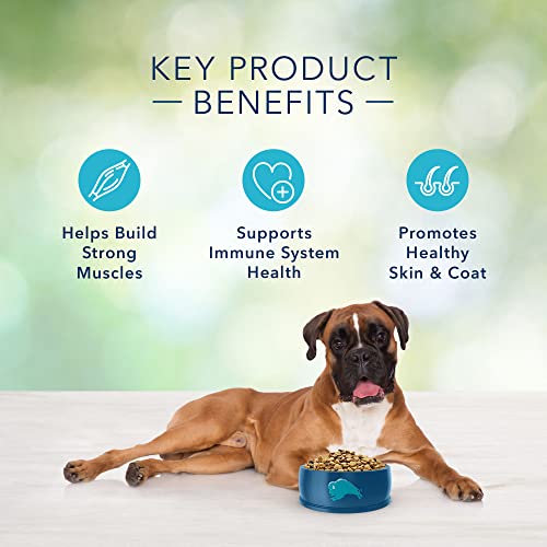 Blue Buffalo Freedom Grain Free Natural Adult Dry Dog Food, Chicken 24-Lb #TOP4