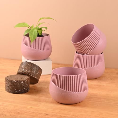 Eha Earth Friendly Oreo 4 inch Small pots for Indoor Plants with 2 Growmix | Pack of 4 | Made with Bamboo Fibers|Table Top Planters for Home Decor and Office, Flower Pot for Living Room |Innocent