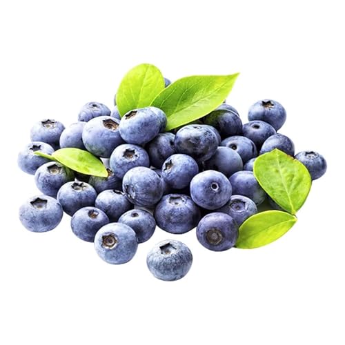 Little Farms Super Jumbo Blueberry 200g (1 pack)