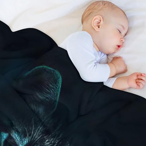 Manta de franela con gato ideal para tardes de películas en el sofá de casa 4