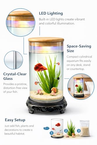 Image of rizopets Desktop mini Fish Tank Aquarium, White, Acrylic, 1.5 Liters, 21x11x11 cm, Rectangular with LED Lighting, Modern Style