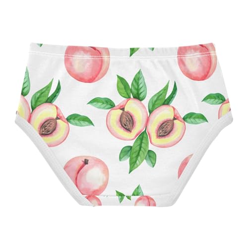 Watercolor Peaches Toddler Girls's Underwear 2T 202c14072