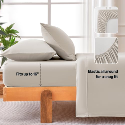 Image of Amazon Basics Jersey Knit 4-Piece Sheet Set, Wrinkle Resistant and Easy Fit, Includes 16 inch Deep Pocket Fitted Sheet, 1 Flat Sheet and 2 Pillowcases, Queen, Beige