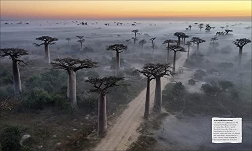 The Tree Book: The Stories, Science, and History of Trees