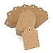 G2PLUS 1000PCS Etichetta Kraft Cartellini del Prezzo Etichette di Abbigliamento 3.5cm*5cm con Stringa Etichetta in Carta Kraft per la Visualizzazione Indumento Scarpe Cappello (Marrone)