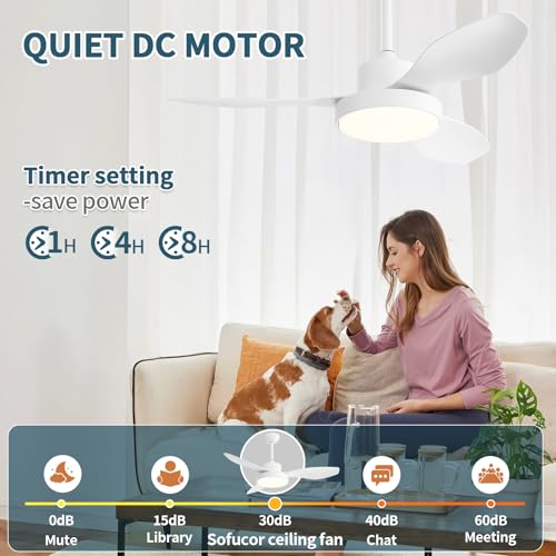Image of Sofucor 47 Inch Ceiling Fan with Lights Flush Mount Modern Outdoor Ceiling Fans with Remote Control, 3CCT Dimmable 6 Speeds Quiet DC Motor & Timer for Patio Bedroom Living Room