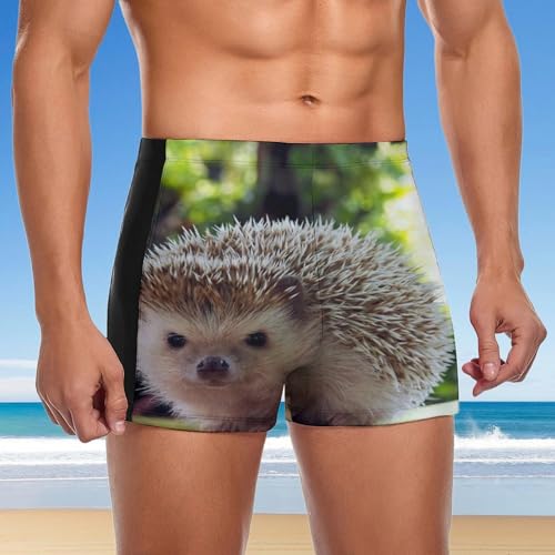 Slip de bain hérisson pour homme le short de natation confortable
