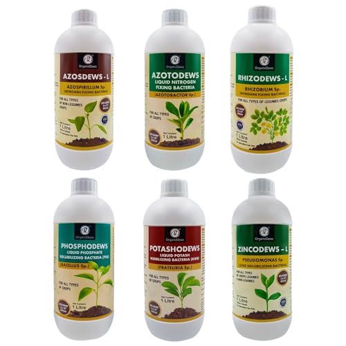 OrganicDews Azospirillum, Azotobacter, Rhizobium, PSB, KMB, Zinc Solublizing Bacteria 1 Litre Bio Fertilizer Combo - Increases Soil Fertility, Plant Growth & Yield