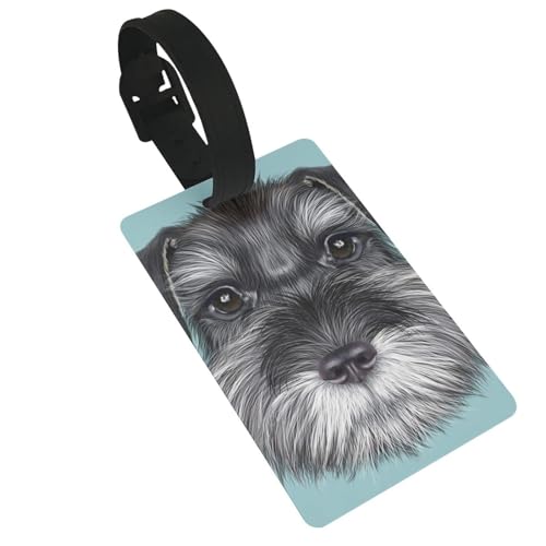 �ו� �����h�~ �X�[�c�P�[�X�^�O �̏�̃x�r�[�V���i�E�U�[ �o�b�O�p�l�[���^�O �l�[���v���[�g �ԍ��D �o�� ���h�~���s�x�� �o�� ���s�p�i