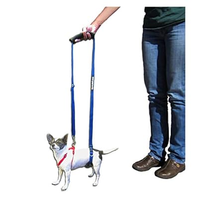 gingerlead dog harness