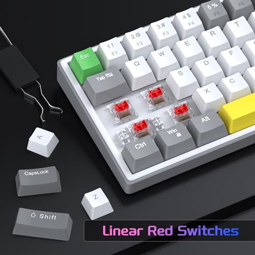 Image of MageGee 60% Mechanical Gaming Keyboard,68Keys Compact Blue LED Backlit Gaming Keyboard, Sky Wired Ergonomic Mini Office Keyboard for Windows PC Gamer (Grey White /Red Switches)