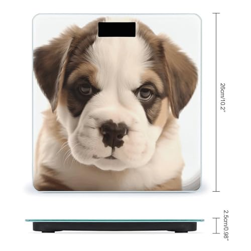 Báscula digital para baño con vidrio templado 10.2 in miniatura 2