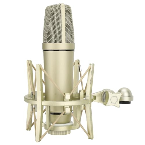 BTSEURY Condenser Microphone, Professional Studio Condenser Microphone, Wired Metal Cardioid Microphone Perfect for Vocal Recording, Podcasting and Live Streaming
