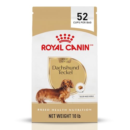 Royal Canin Breed Health Nutrition Dachshund Adult Dry Dog Food, 10 lb Bag