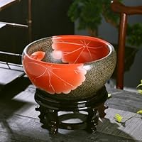 珍品 特大 水鉢 大鉢 花器 大皿 作者不明 直径63cm オブジェ 41rSIVAOYxL._SS200_.jpg