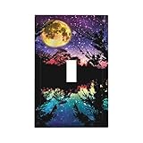 1-Gang Electrical Single Toggle Device Wallplate Purple Fantasy Full Moon Phase Starry Sky Lake Nature Moonlight Stars in Night Sky Tree Forest Mountain Light Switch Face Plate Decorative Outlet Cover