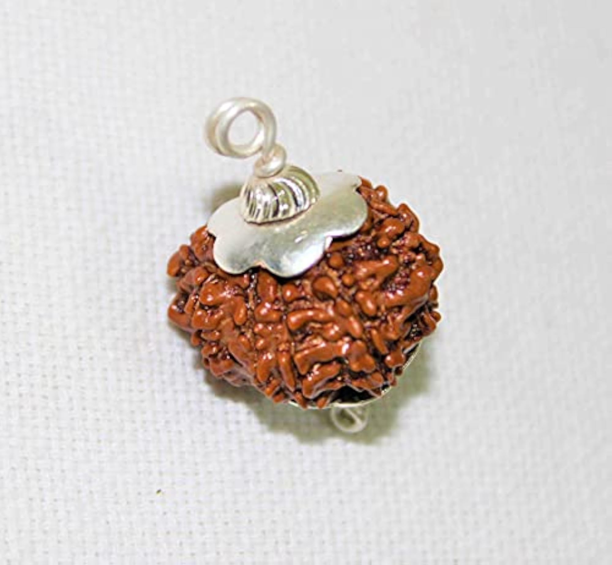 9 Mukhi Nepali Rudraksha Brown Holy Beads Certified