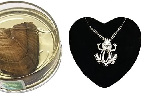 Frog Pendant Necklace with Genuine Pearl Locket Cage Necklace with Pearl Oyster