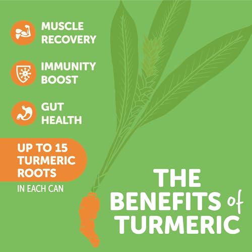 ZYN Turmeric Wellness Drink (6 Pack), Mango Lychee Flavored Turmeric Curcumin with Black Pepper, No Added Sugar, Low Carb & Low Calorie, Clean... - Image 3