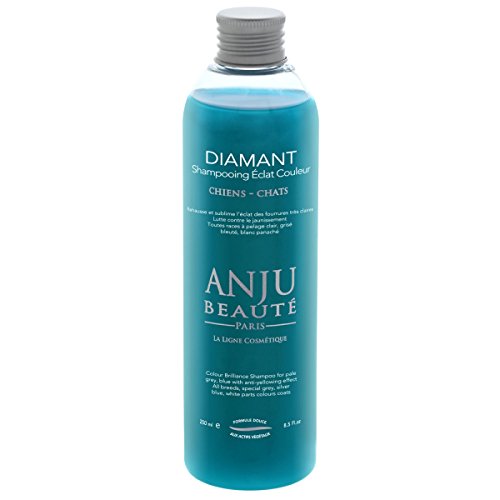 Anju Beauté Champú de Color Brillante, 250 ml, Color Gris