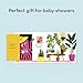 Hide-and-Seek Peekaboo: Beginning Baby