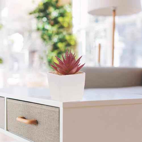 Plantas suculentas artificiales pequeñas para estancias sin luz natural pack de 10 unidades 5