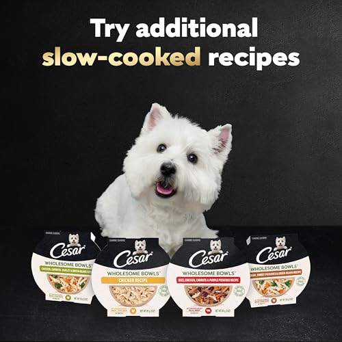 Cesar Wholesome Bowls Wet Dog Food, Chicken Recipe, 3 oz, 10 Count - image 8