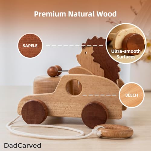 Image of Hedgehog Pull Toy | Montessori Wooden Pull-Along Walking Toy with Wooden Grip Ring | Natural Drumming Sound for Kid Toddlers