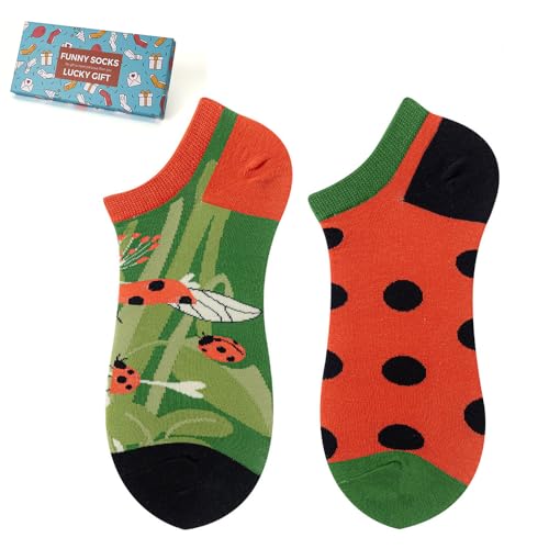 NxnChc Funny Short Socks for Men and Women Unisex Many Designs Animal Food Sports Art Fruit Made of Cotton Gift Asymmetrical Pattern Left and Right, Ladybird, 35-46