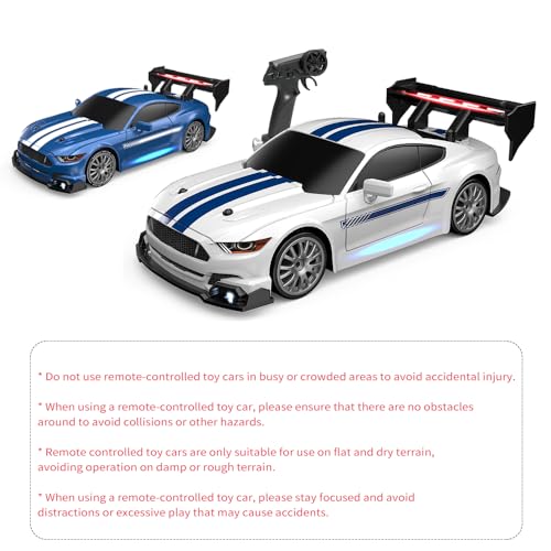 Voiture télécommandée 4WD sans interférence avec deux batteries rechargeables
