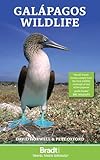 Galapagos Wildlife