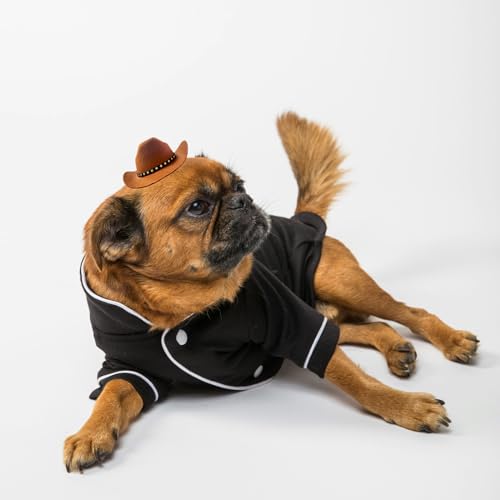 AWOCAN Cowboyhut für Hunde und Katzen, mit Bandana-Schal, Mini-Haustierkostüm für Halloween, Urlaub, Party-Dekoration (Braun, klein)