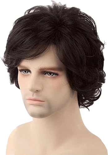 ナチュラルウェーブのかかった人工毛かつらパーティーや日常着かつら男性コスチュームアフロファンキー70年代ウィッグディスコ、カーニバル、テーマパーティー、マルディグラ