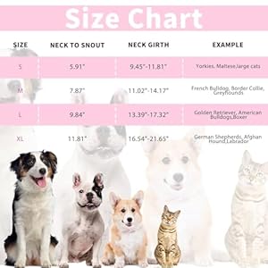 Dog Cone for Dogs After Surgery,Adjustable Protective Dog Recovery Collars & Cones for Large Medium Small Dogs Cats,Comfy Soft Dog Cones Prevent Pets from Touching Stitches Rashes,Wounds,Pink,M Dog Cone for Dogs After SurgeryAdjustable Protective Dog Recovery Collars Cones for Large Medium Small Dogs CatsComfy Soft Dog Cones Prevent Pets from Touching Stitches RashesWoundsPinkM