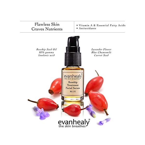 evanhealy Rosehip Calming Serum | Blue Skin Care Line with Organic Whole Essential Oils | Nurturing, Soothing Facial Oil Serum | Organic Facial Oil For Sensitive, Reactive Skin