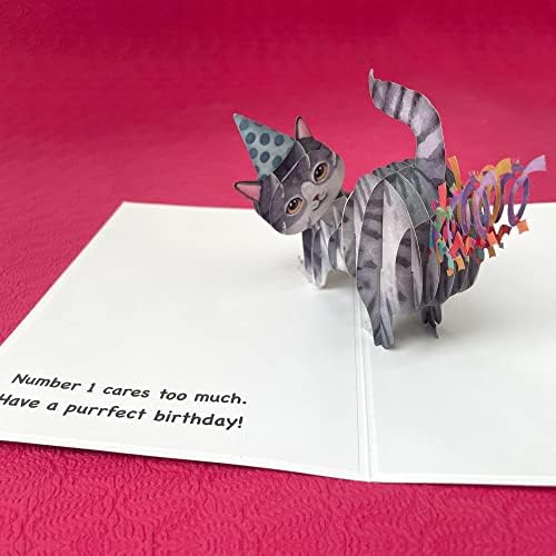 GoDoggy UK's Funny Happy Birthday Cat card for women and men - The Purrfect 3D Pop up humorous gift for cat lovers - Hand made greeting cards - We love cats too