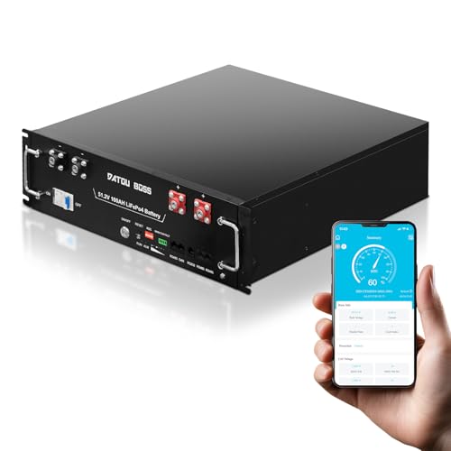 Amazon.co.jp: DATOUBOSS 48V 51.2V 100Ah リン酸鉄リチウムイオン