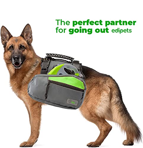 Edipets, Hundeleine, Ausziehbar und Einziehbar, 5 m, 8 m, Flexibel, für Training und Spaziergänge, für kleine, mittelgroße und große Hunde (Grün, 5 Meter)