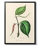 Notre art : apportez la beauté de la nature dans votre maison avec notre collection d'art botanique. Explorez une gamme d'impressions et de peintures exquises avec des plantes, des fleurs et de la faune, parfaites pour tout décor. Découvrez la sérénité de l'art botanique aujourd'hui.