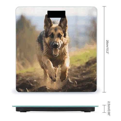Báscula digital de baño para mascotas 400 lb capacidad miniatura 2