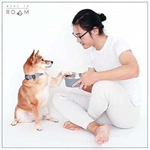 Made to ROAM - Collare Premium per Cani: Regolabile, in Nylon Resistente con Fibbia a Sgancio Rapido (Oregon Haze, Taglia 4)
 - immagine 3
