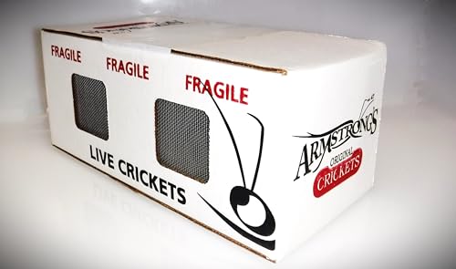 Armstrong's Original Crickets Superworms (Zophobas morio) Kingworms (Large 1.75