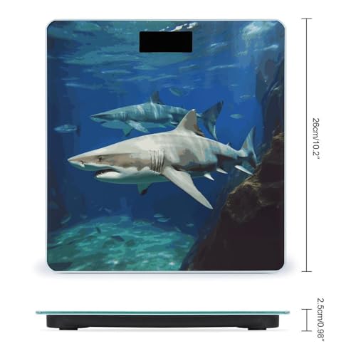 Báscula digital de baño Two White Sharks con pantalla LCD miniatura 2