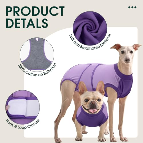 Image of Kuoser Recovery Suit for Dogs After Surgery, Soft Dog Surgery Suit Female Male, Breathable Pet Surgical Recovery Shirt, Anti Licking Dog Onesie for Abdominal Wounds Cone Alternatives, Purple L