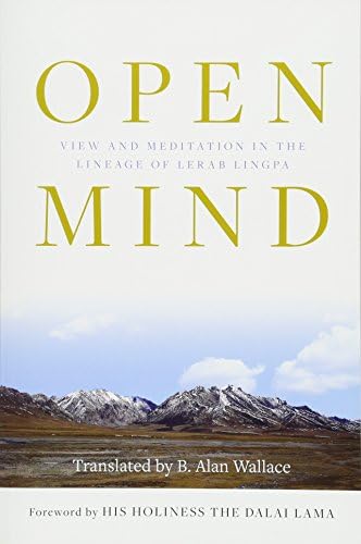 Open Mind: View and Meditation in the Lineage of Lerab Lingpa