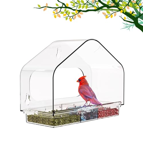 Window Bird Feeder,Powerful Suction Cups,House Bird-Watching Windows,Squirrel Proof Bird Feeder,Drainage Hole,Removable Tray,Large Capacity Seed Storage,The for Bird Lovers