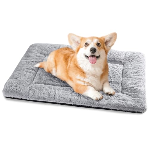 Baodan Hundebett Kleine Hunde Waschbar, 75x50 cm Hundekissen Flauschig mit rutschfeste Unterseite, Hundebetten für Kleine Mittelgroße Hunde, Grau