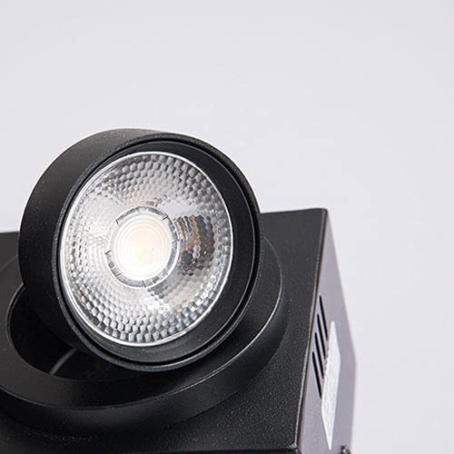 Spot de plafond avec projecteur orientable à double faisceau précis