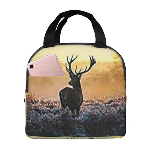 ۉ`obO e h MRh~ ŏv ʋ ʊw AEghAɕ֗ jp (Aj)